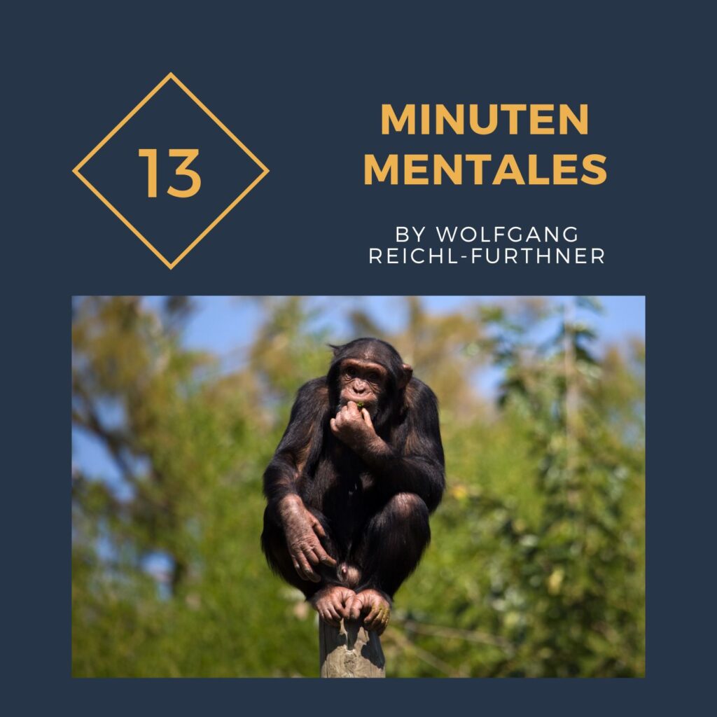 13 Minuten Mentales - Stammst du vom Affen ab