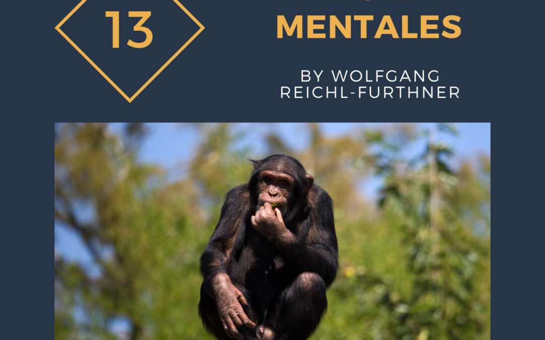 13 Minuten Mentales - Stammst du vom Affen ab